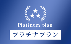 Platinum plan/プラチナプラン