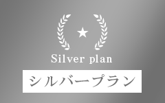 Silver plan/シルバープラン